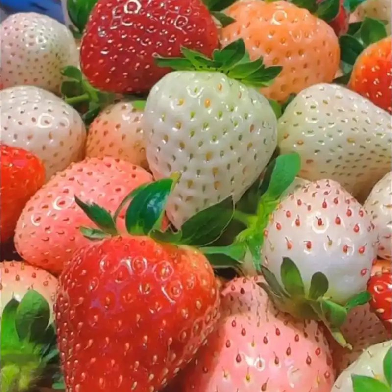 10 überraschendste Fakten über Erdbeeren