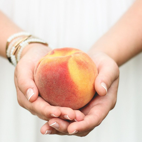 Pfirsichbaum T5 – FRUCHT IN APFELGRÖSSE - Wurzelnackte Pflanze