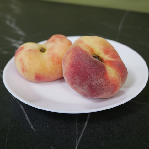 Flachpfirsich Paraguayo UFO - Wurzelnackte Pflanze