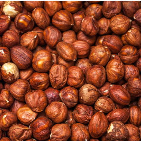 Haselnuss ‘Hallische Riesenhasel’ (Hall’s Giant) - Wurzelnackte Pflanze