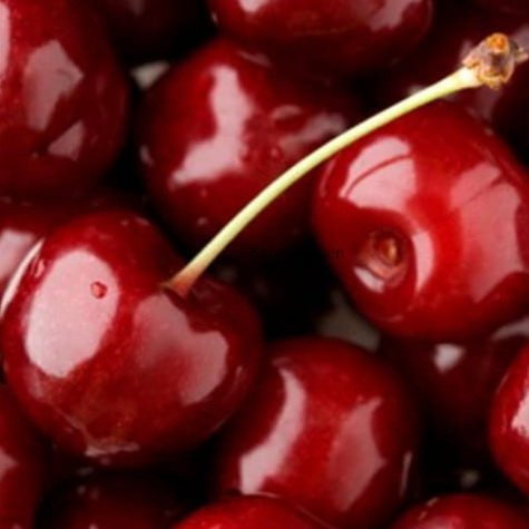 Kirschbaum Nefris Obstbaum Kirsche 80cm / 140cm