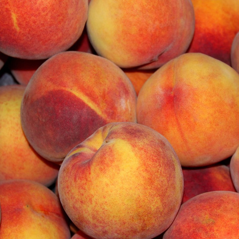 Pfirsichbaum Royalvee Obstbaum Pfirsich 80cm / 140cm