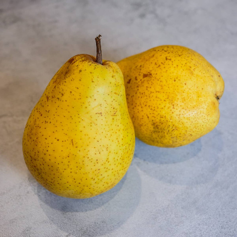 Birnenbaum Lukasówka odporna START PACK ®