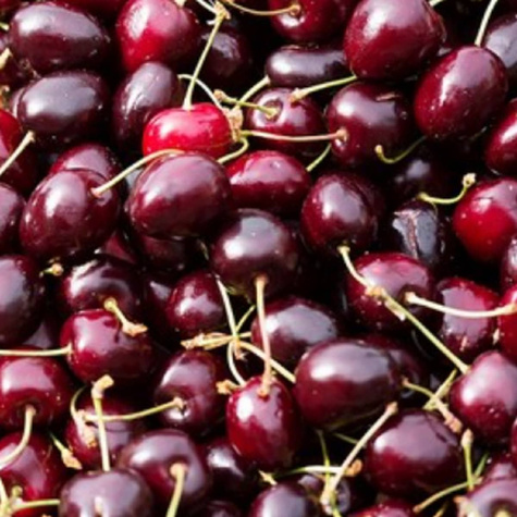 Säulenkirsche Kordia Sehr große Früchte (GISELA5) Obstbaum Süßkirschen 120 cm / 160 cm