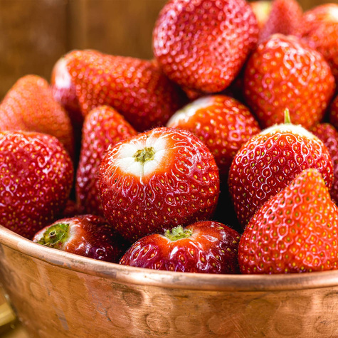 10 Stk. Erdbeerpflanze 'Albion' Klettererdbeeren, Immertragende