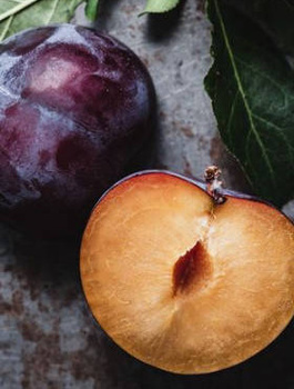 Japanischer Pflaumenbaum Schwarz - Wurzelnackte Pflanze