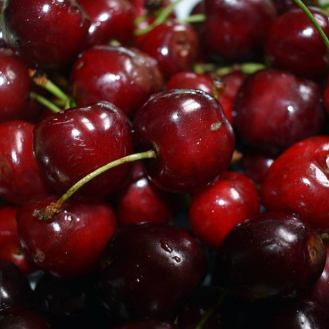 Süßkirsche Staccato - Wurzelnackte Pflanze