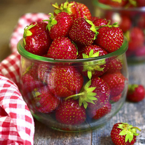10 Stk. Erdbeerpflanze 'Honeoye' sehr frühe Erdbeere, für Konfitüren