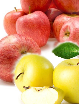 Duo Apfelbaum Gala + Golden Delicious - Wurzelnackte Pflanze